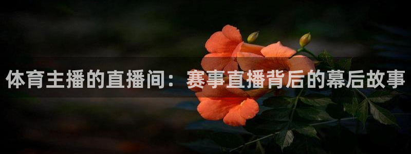 nba直播龙门：体育主播的直播间：赛事直播背后的幕后故事