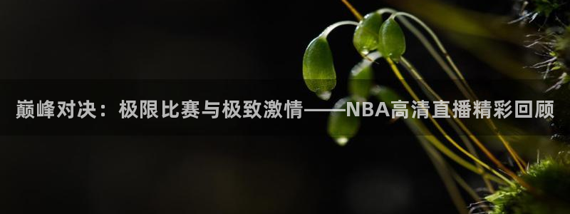龙门直播app：巅峰对决：极限比赛与极致激情——NBA高清直播精彩回顾