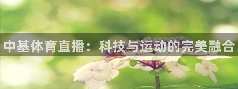 nba龙门直播：中基体育直播：科技与运动的完美融合