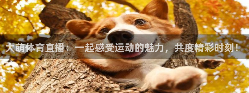 龙门直播nba下载：大萌体育直播：一起感受运动的魅力，共度精彩时刻！