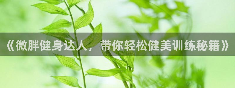龙门直播下载官网
