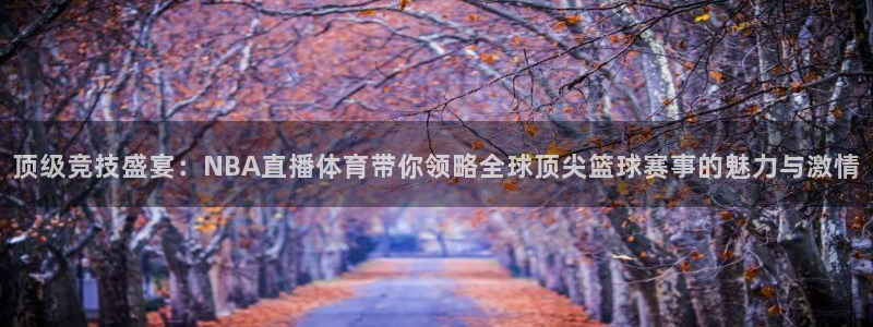 龙门视频：顶级竞技盛宴：NBA直播体育带你领略全球顶尖篮球赛事的魅力与激情